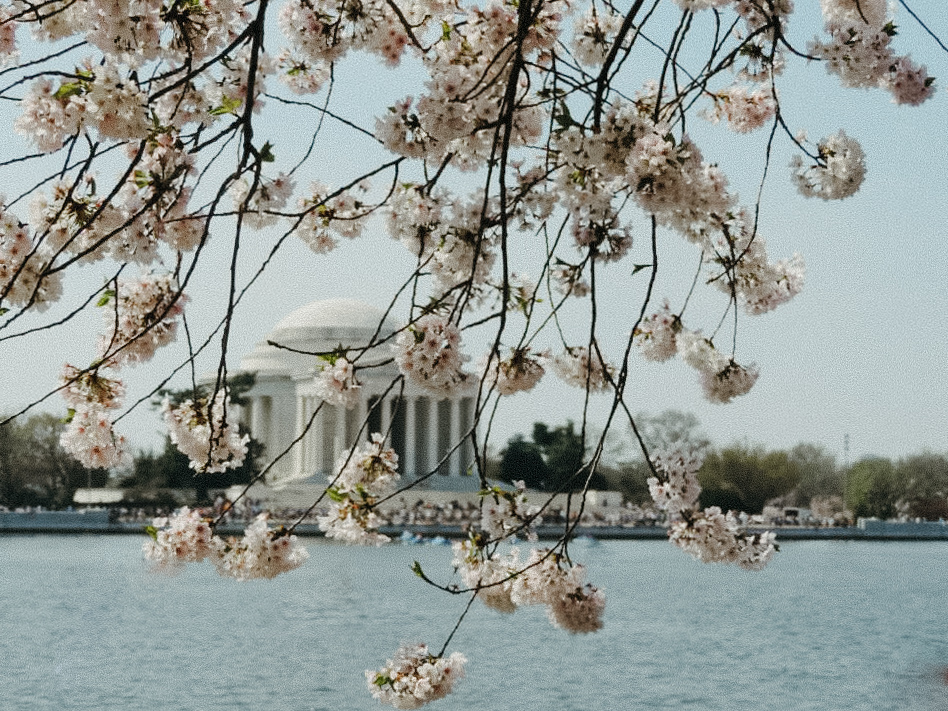 best locations to elope in washington dc